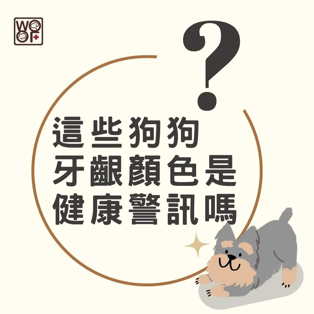 這些狗狗牙齦顏色是健康警訊嗎
