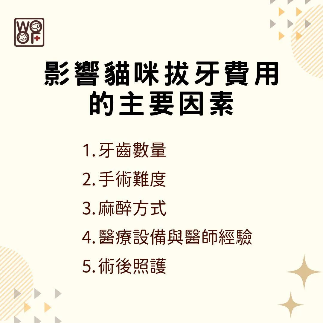 說明影響貓咪拔牙費用的主要因素