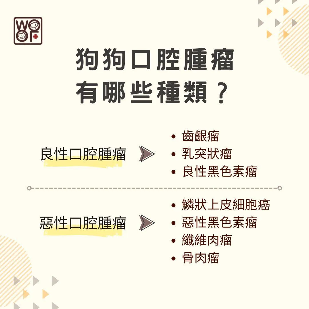 說明狗狗口腔腫瘤有哪些種類?