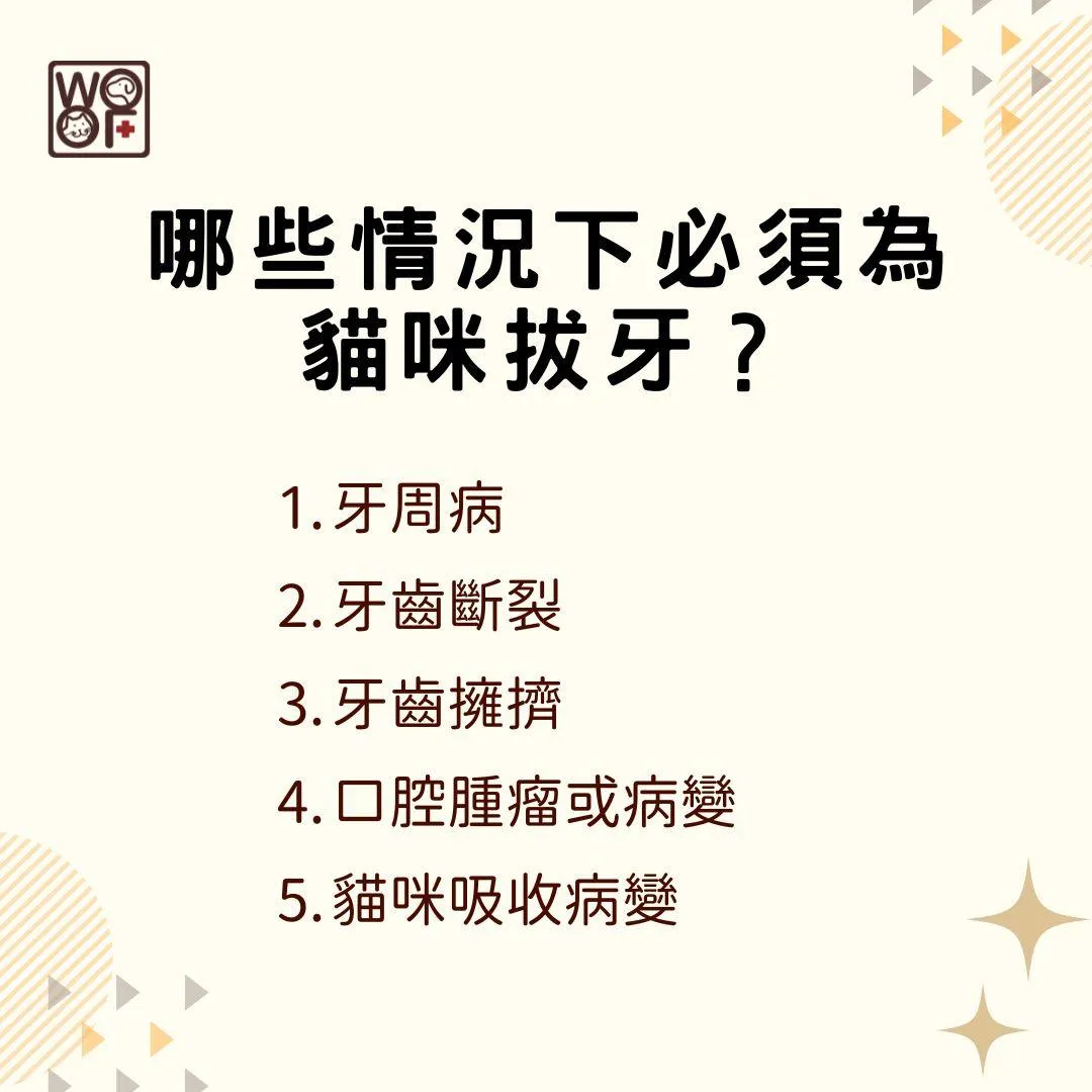 說明哪些情況下必須為貓咪拔牙?