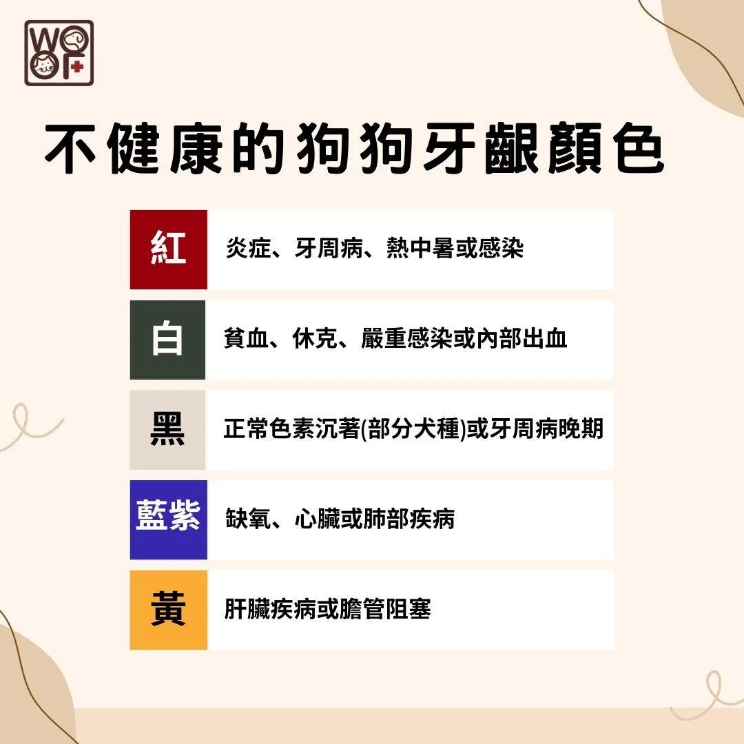 說明不健康的狗狗牙齦顏色