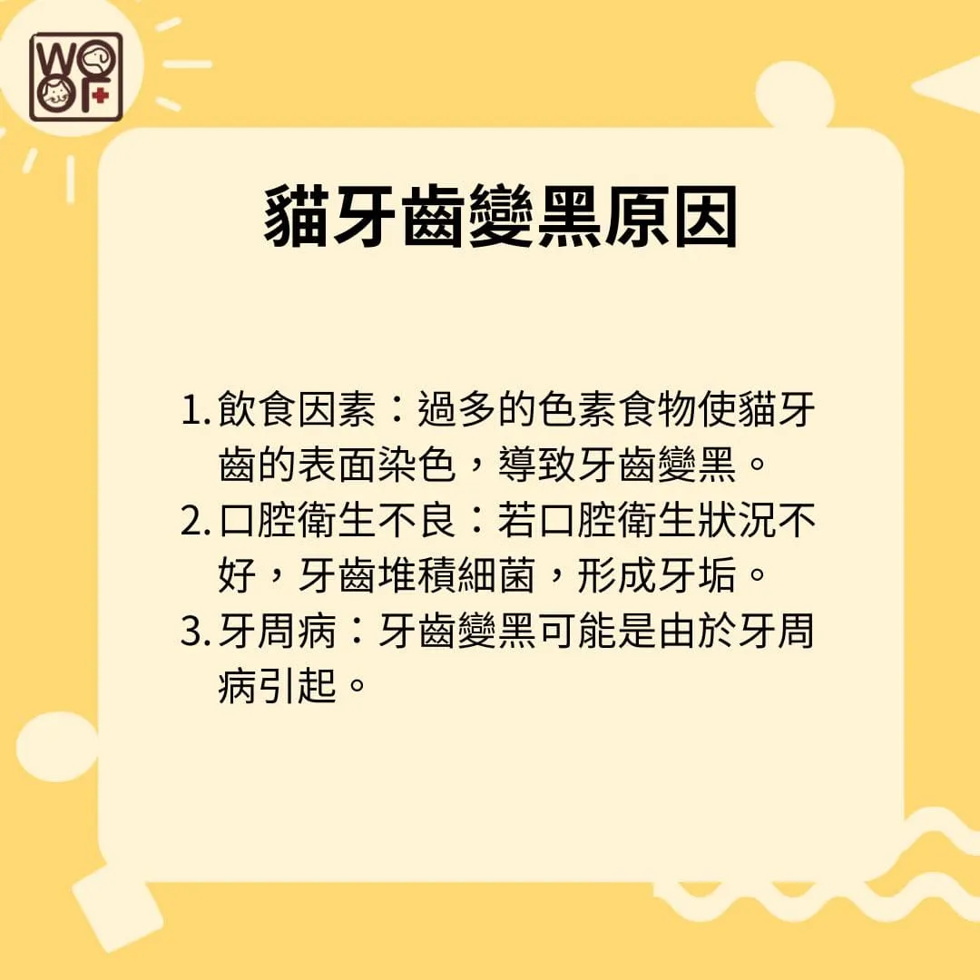 貓牙齒變黑