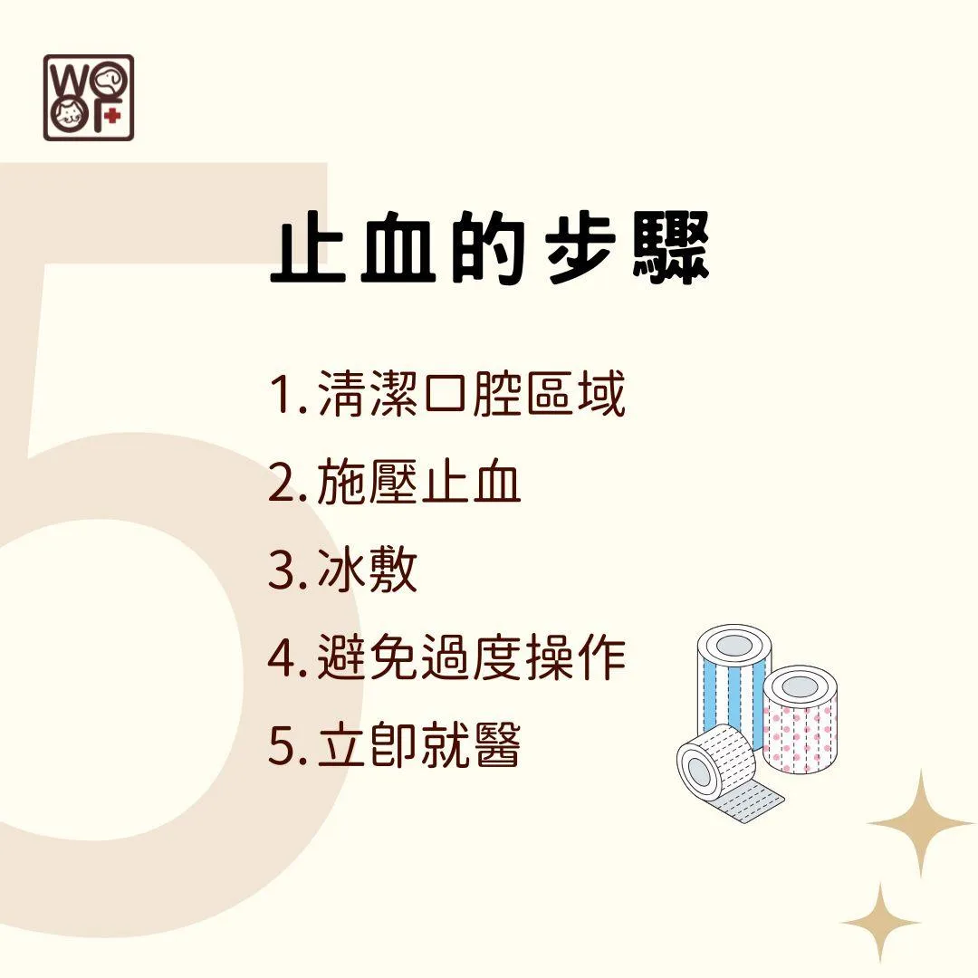 說明止血的步驟