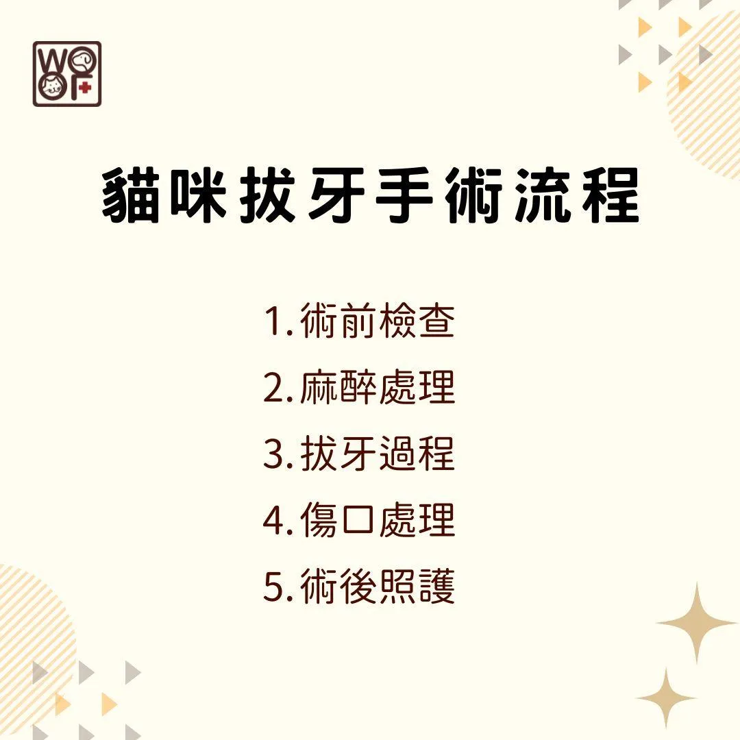 說明貓咪拔牙手術流程