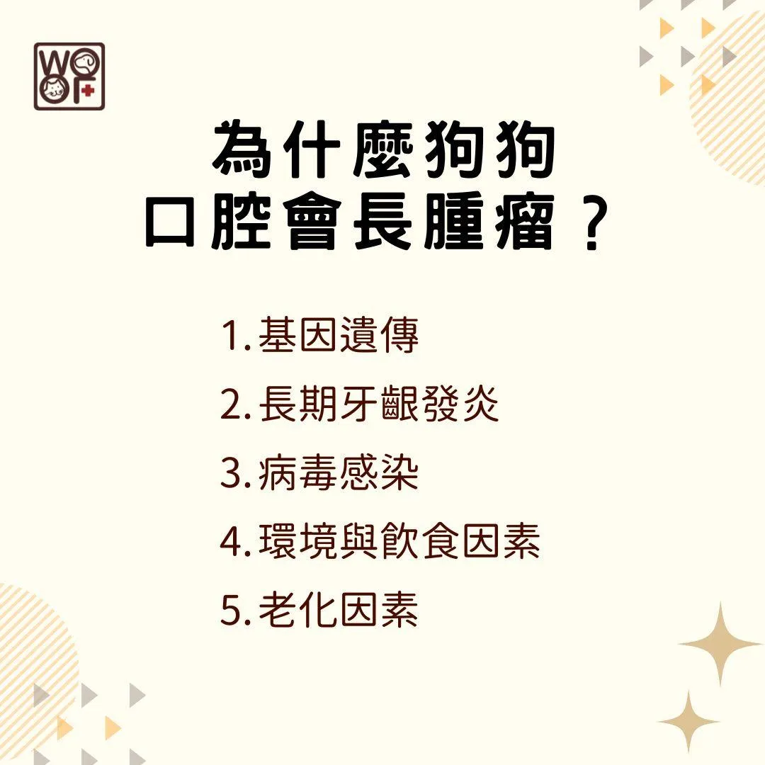 說明為什麼狗狗口腔會長腫瘤?