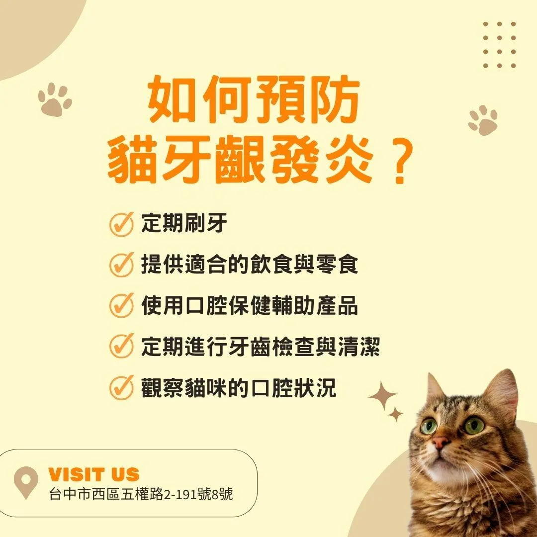 說明如何預防貓牙齦發炎?