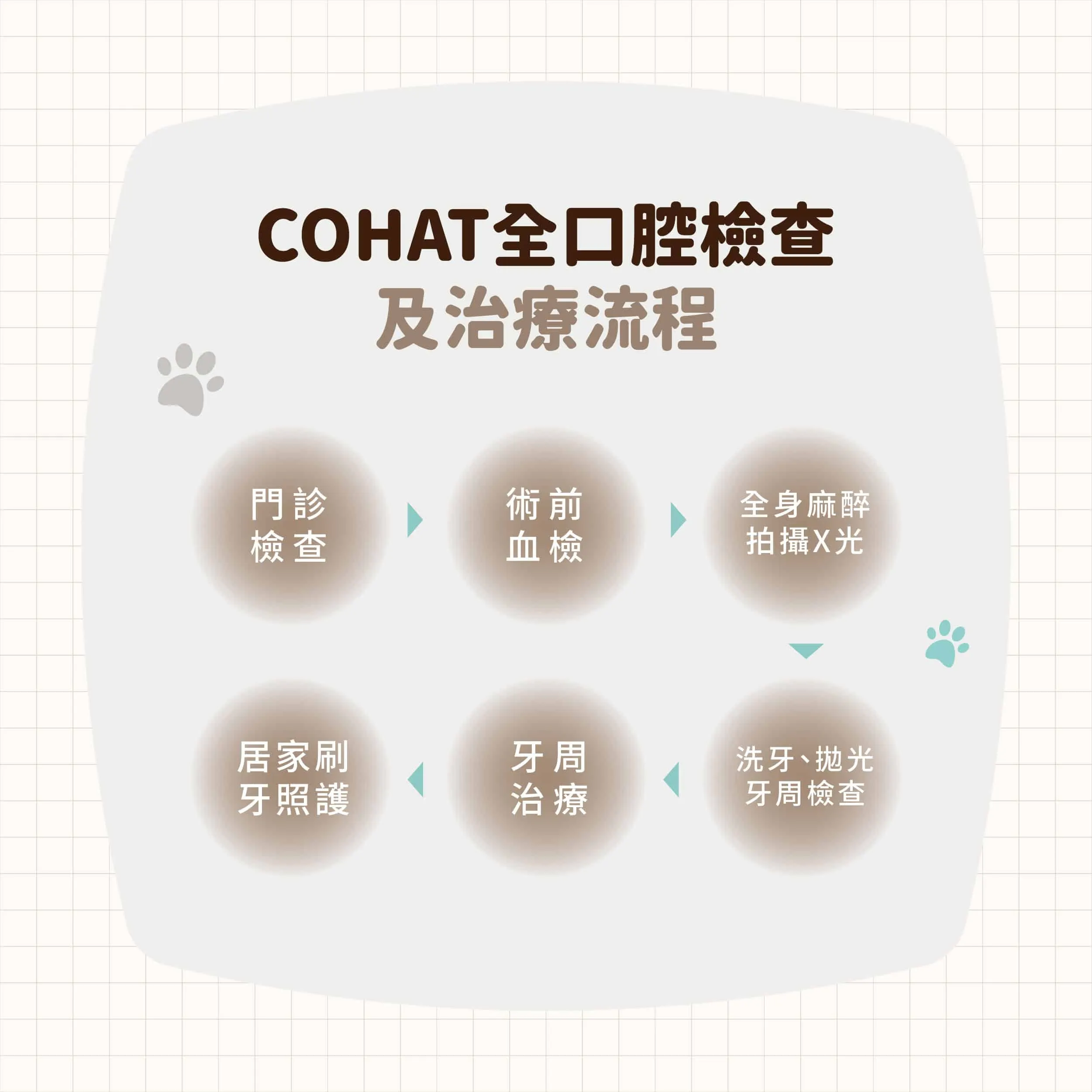 COHAT全口檢查流程