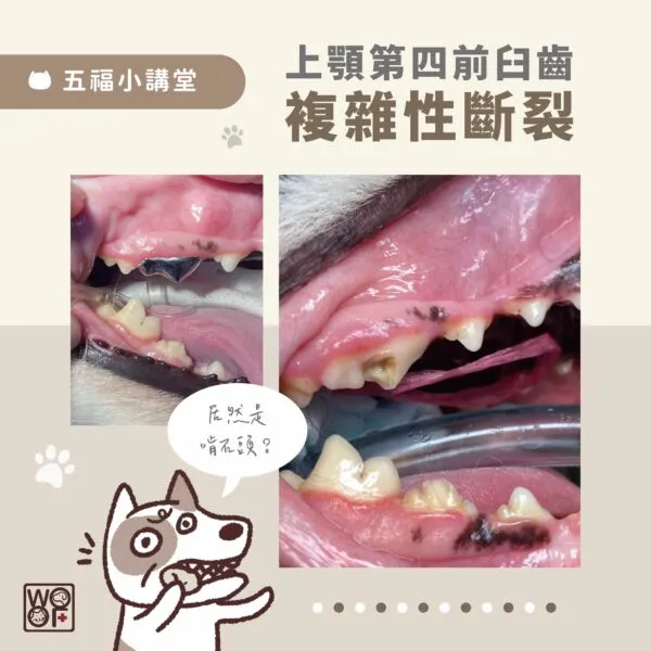 20221006_五福小講堂_工作區域 1