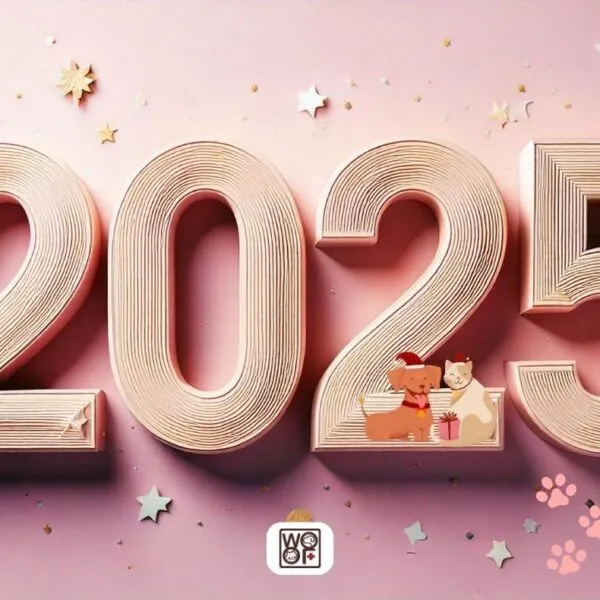 五福動物醫院祝您2025元旦快樂