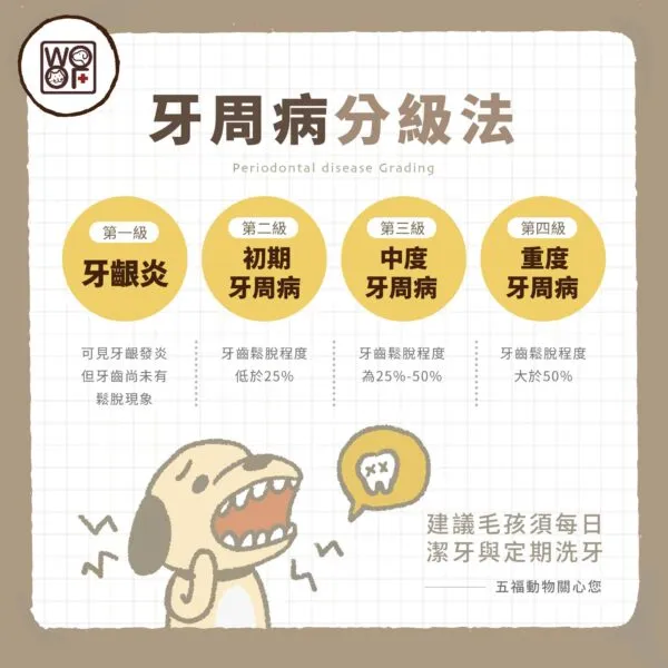 犬貓牙周病種類有哪些？帶你了解犬貓牙周病臨床分級