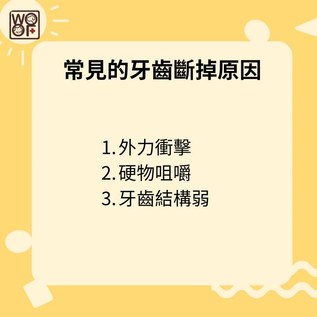 常見的牙齒斷掉原因