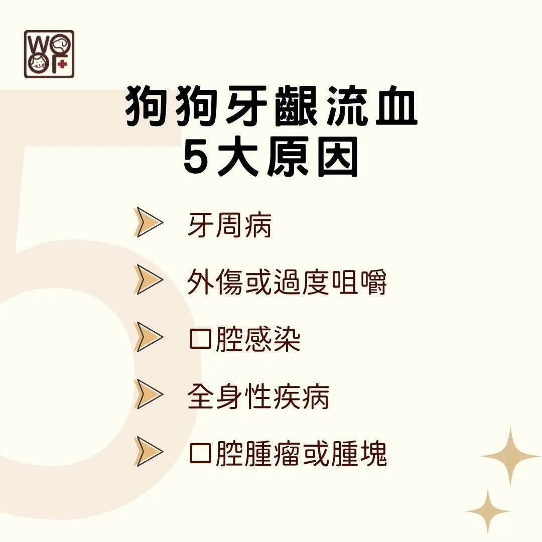 說明狗狗牙齦流血5大原因