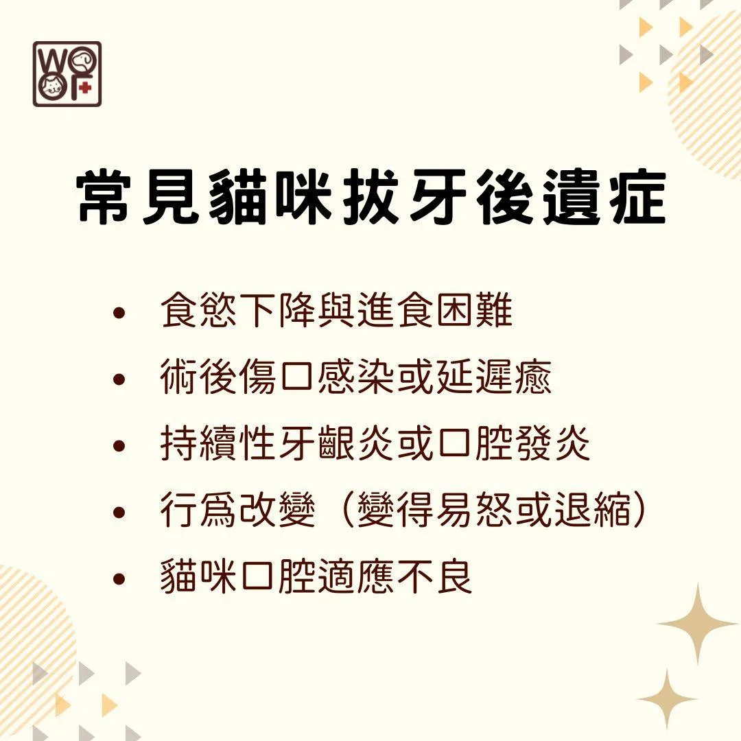 說明常見貓咪拔牙後遺症
