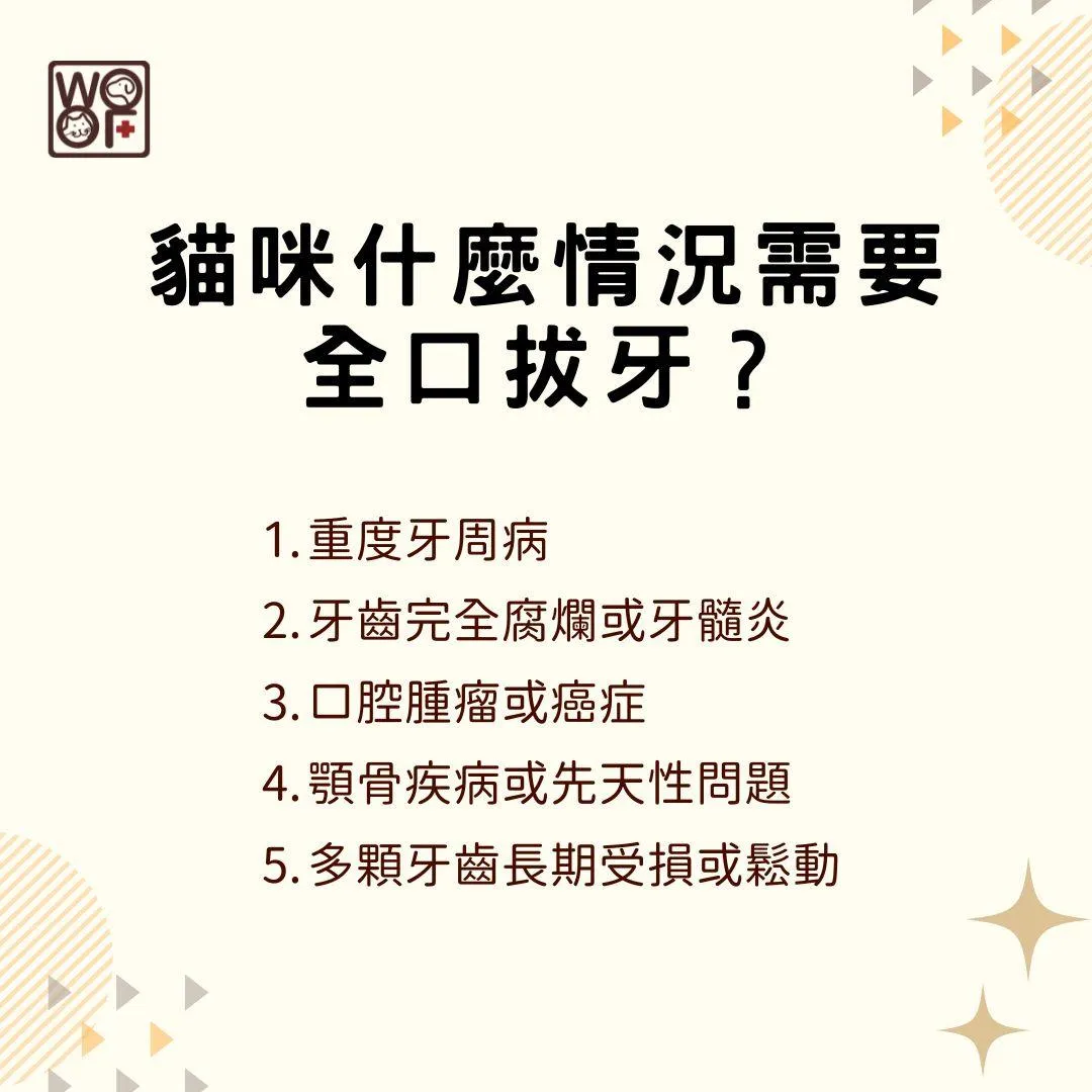 說明貓咪什麼情況需要全口拔牙?
