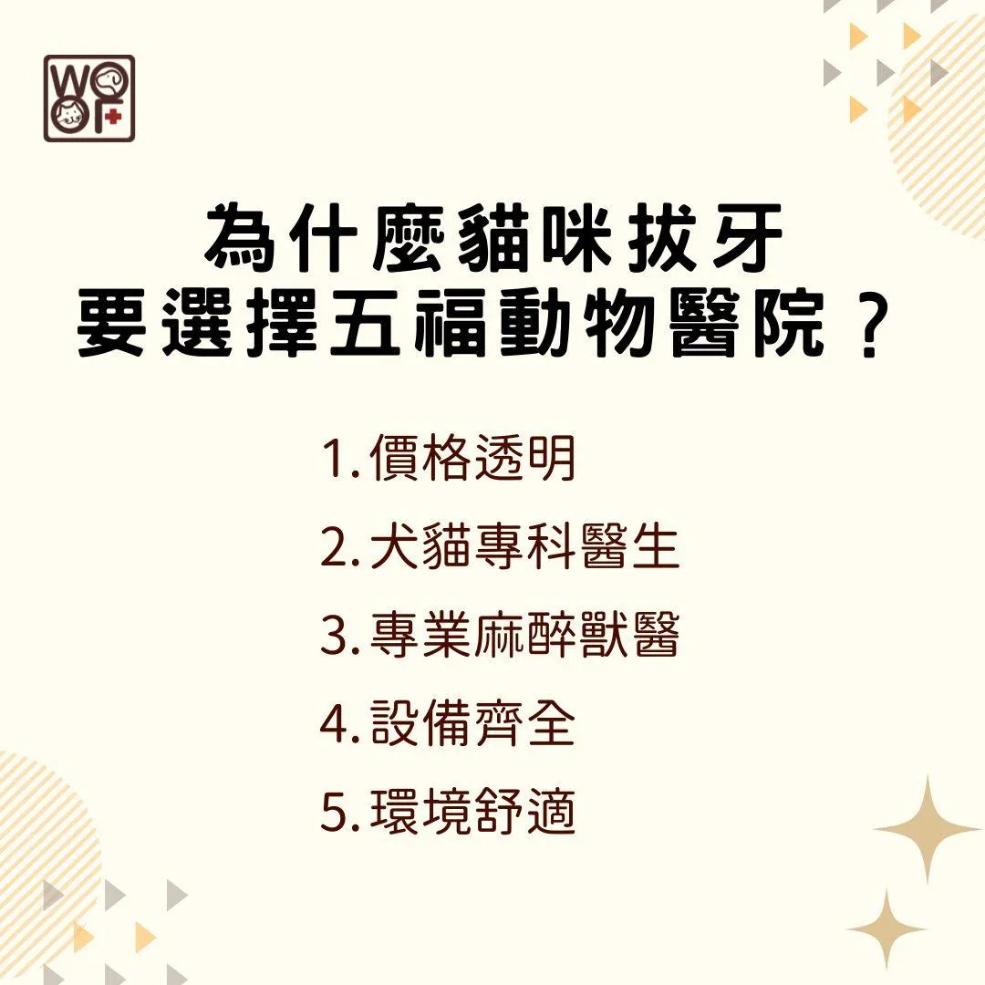 說明為什麼貓咪拔牙要選擇五福動物醫院?