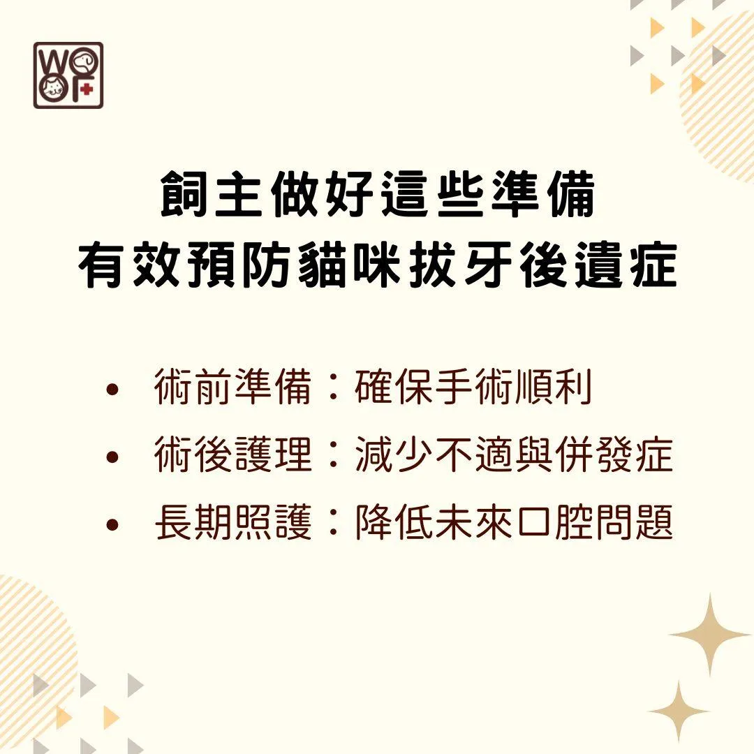說明飼主做好這些準備可以有效預防貓咪拔牙後遺症