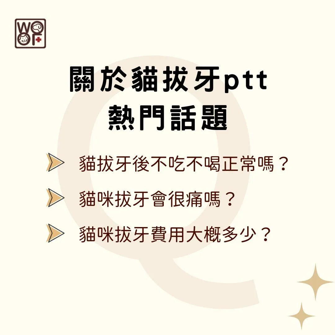 說明關於貓拔牙ptt熱門話題