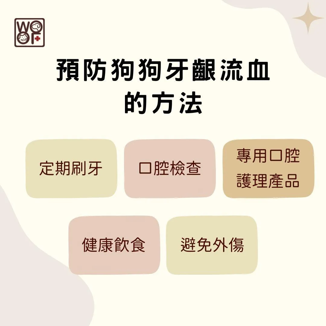 說明預防狗狗牙齦流血的方法