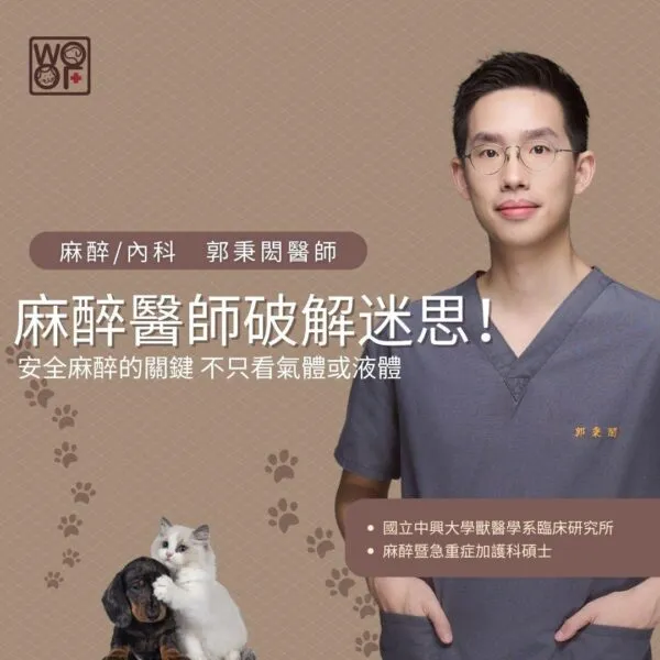 麻醉醫師破解迷思！寵物麻醉的安全關鍵，不只看氣體或液體