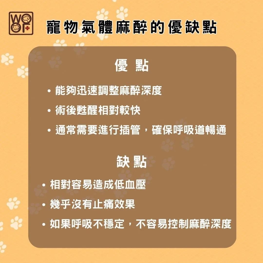 氣體寵物麻醉的優缺點