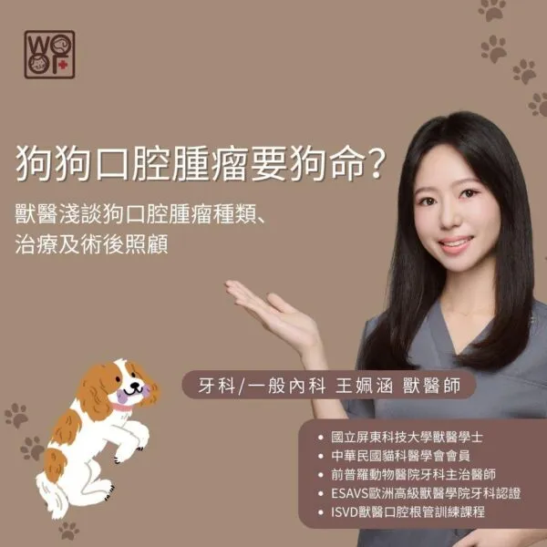 狗狗口腔腫瘤要狗命？獸醫淺談狗口腔腫瘤種類、治療及術後照顧