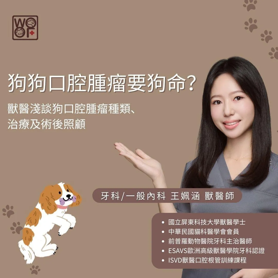 狗狗口腔腫瘤要狗命？獸醫淺談狗口腔腫瘤種類、治療及術後照顧