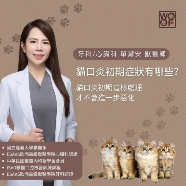 貓口炎初期症狀有哪些？貓口炎初期這樣處理才不會進一步惡化