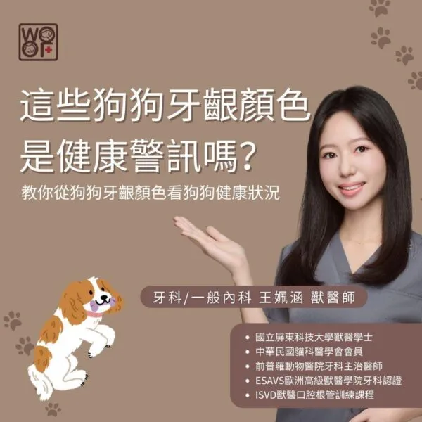這些狗狗牙齦顏色是健康警訊嗎？教你從狗狗牙齦顏色看狗狗健康狀況