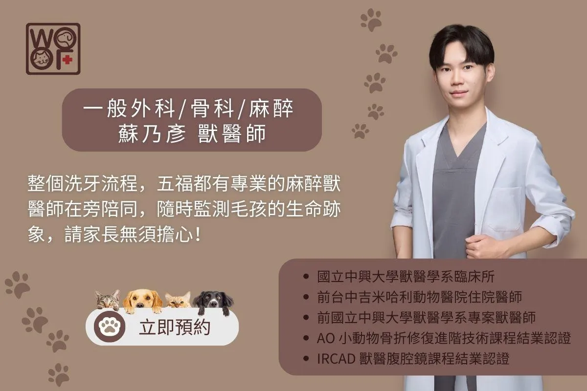 整個洗牙流程，五福都有專業的麻醉獸醫師在旁陪同，隨時監測毛孩的生命跡象，請家長無須擔心！