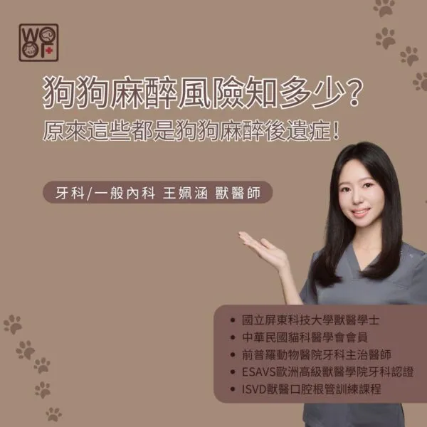 狗狗麻醉風險知多少？原來這些都是狗狗麻醉後遺症！