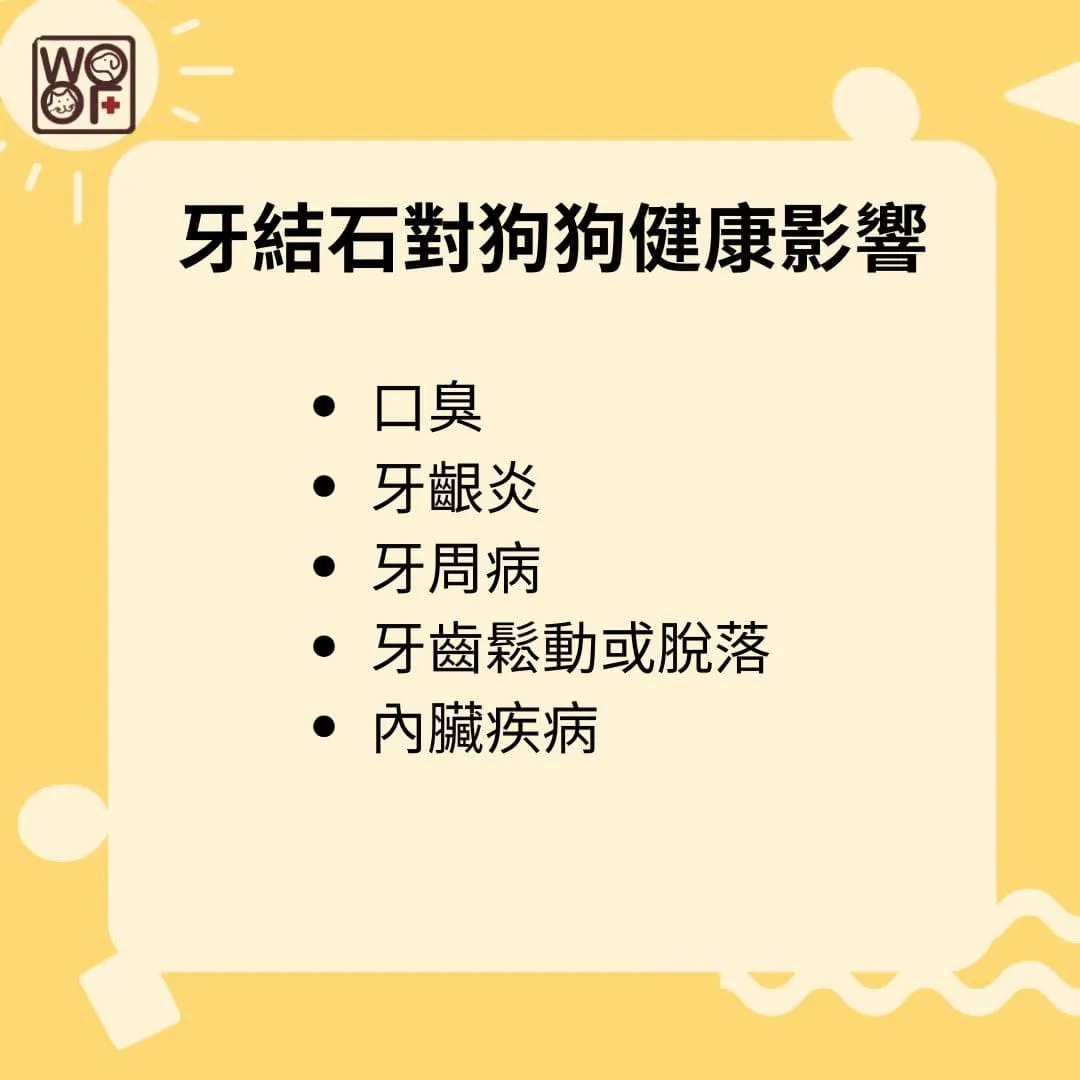 狗狗牙結石