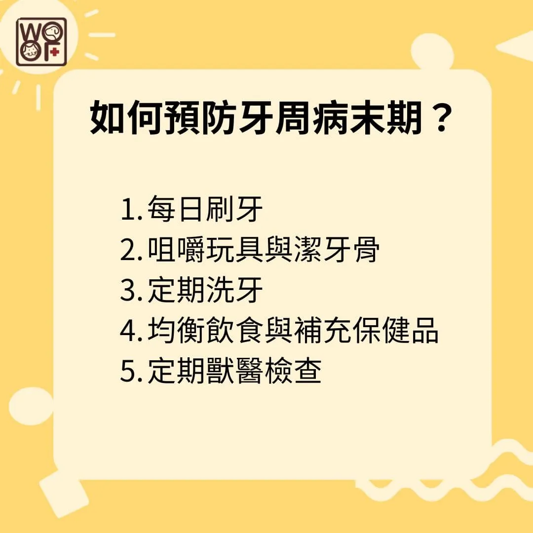 如何及早預防狗狗牙周病末期