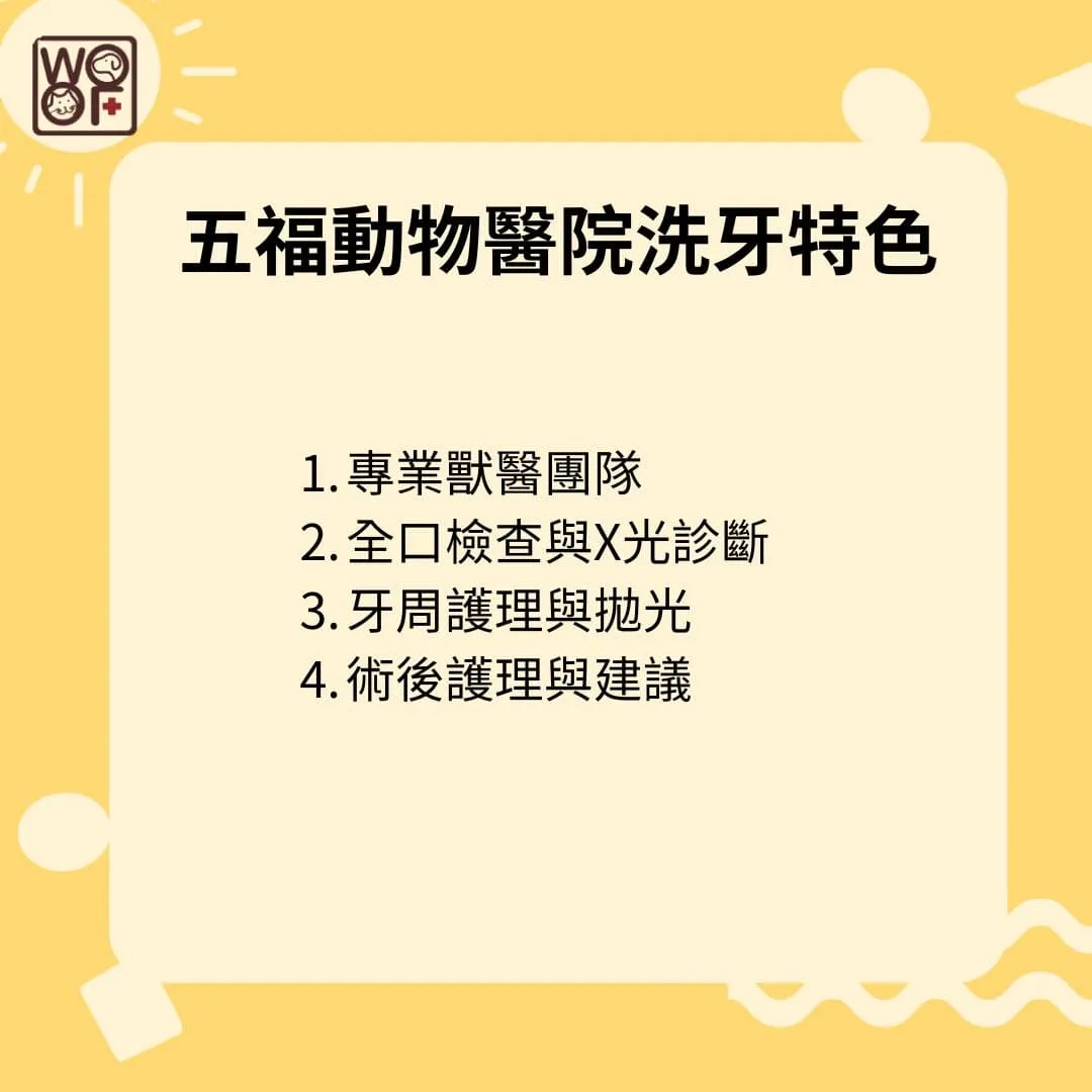 五福動物醫院洗牙特色