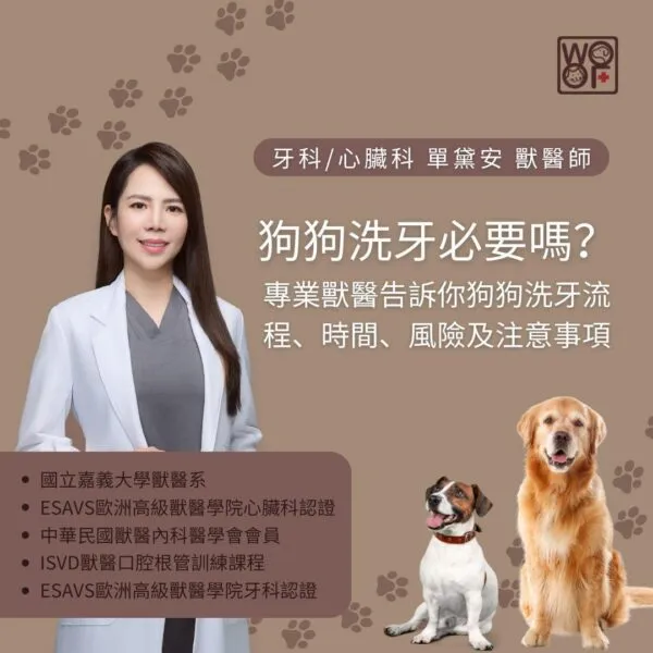 狗狗洗牙必要嗎？專業獸醫告訴你狗狗洗牙流程、時間、風險及注意事項