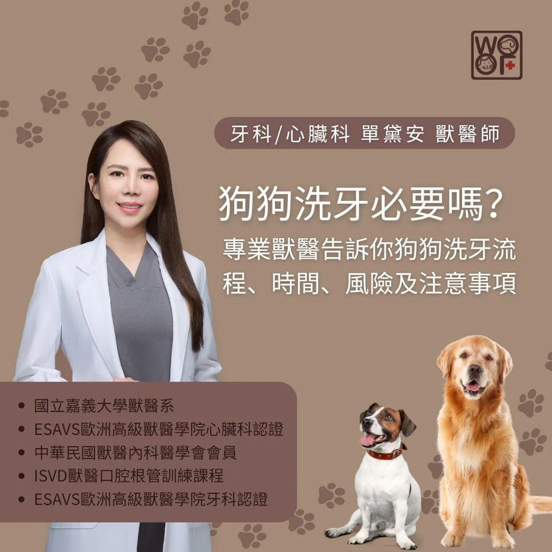 狗狗洗牙必要嗎？專業獸醫告訴你狗狗洗牙流程、時間、風險及注意事項