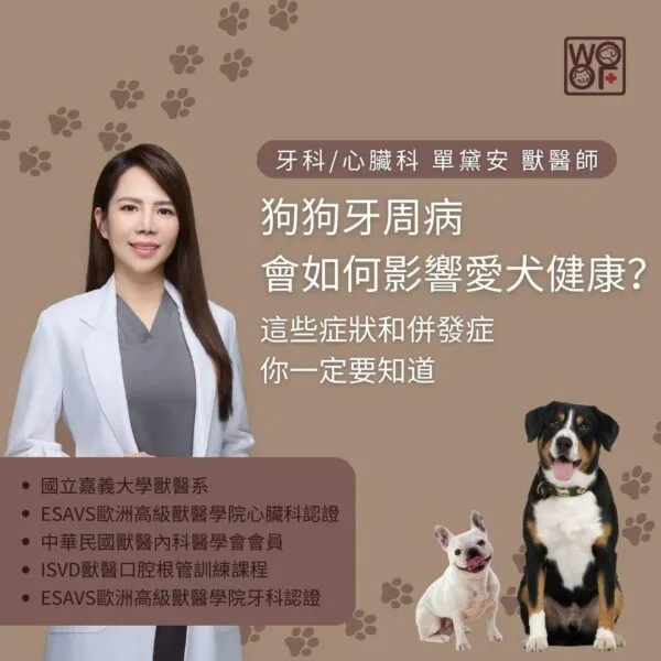 狗狗牙周病會如何影響愛犬健康？這些症狀和併發症你一定要知道
