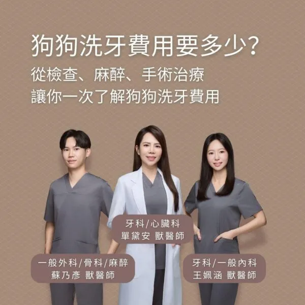 狗狗洗牙費用要多少？從檢查、麻醉、手術治療讓你一次了解狗狗洗牙費用