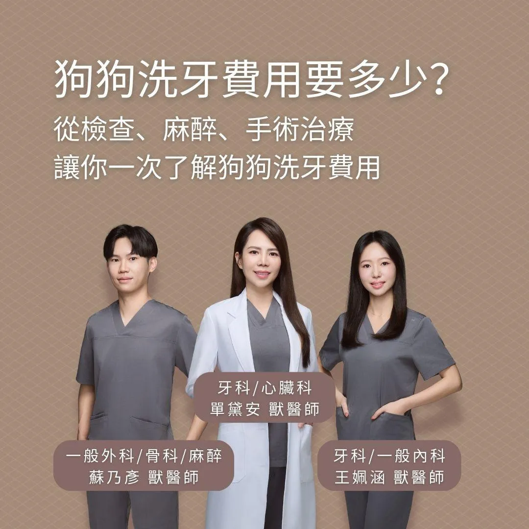 狗狗洗牙費用要多少？從檢查、麻醉、手術治療讓你一次了解狗狗洗牙費用