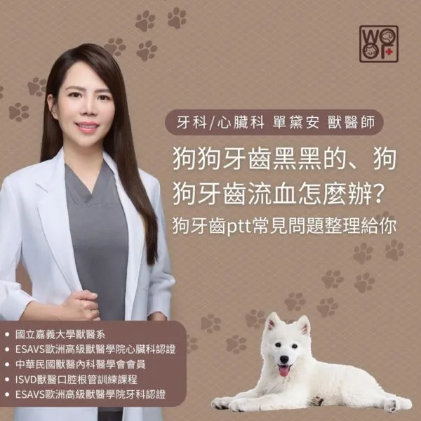 狗狗牙齒黑黑的、狗狗牙齒流血怎麼辦？