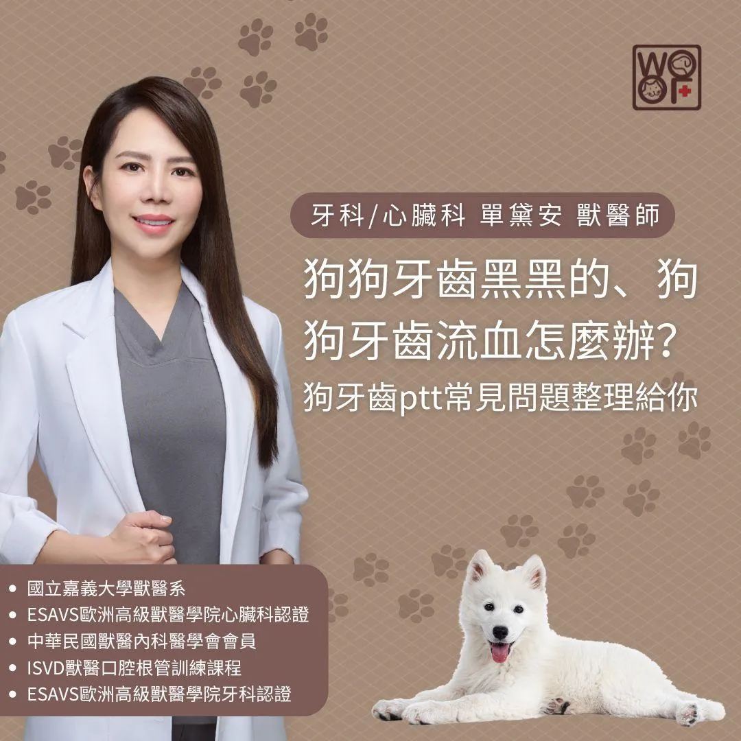 狗狗牙齒黑黑的、狗狗牙齒流血怎麼辦？