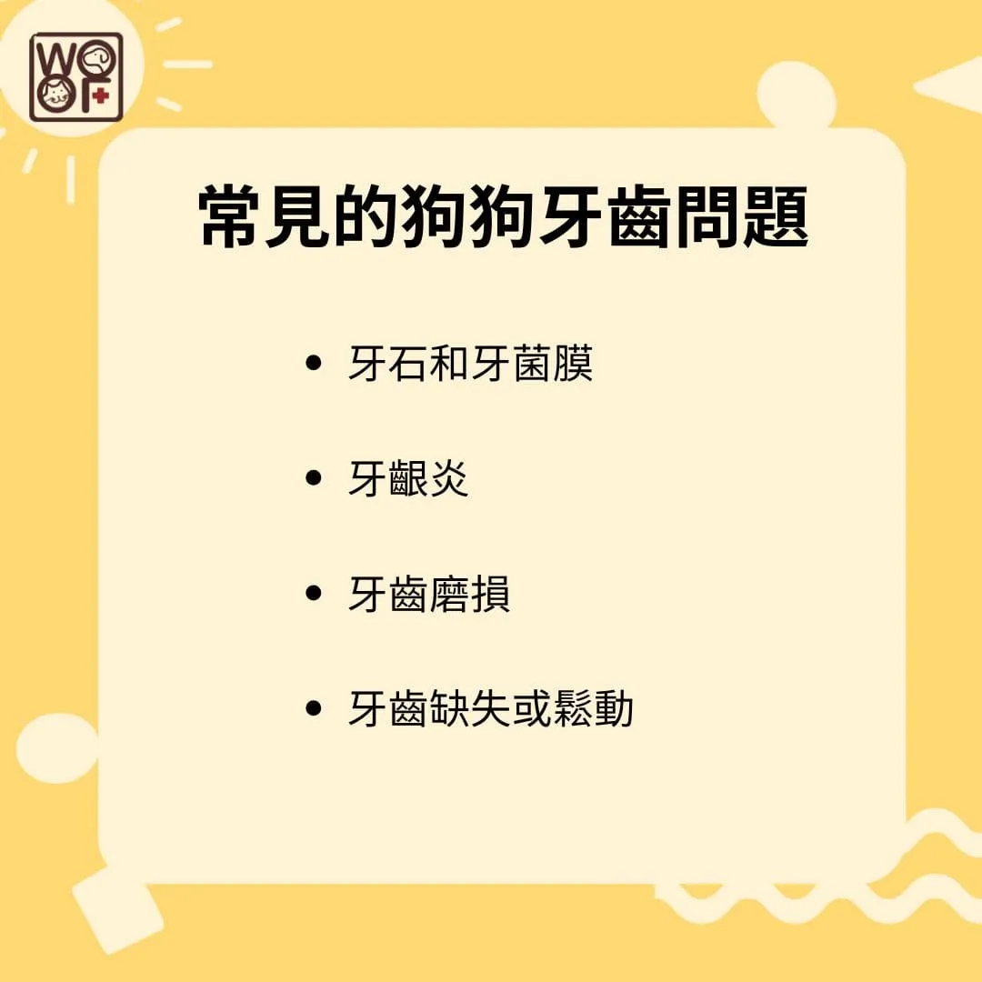 常見的狗狗牙齒問題
