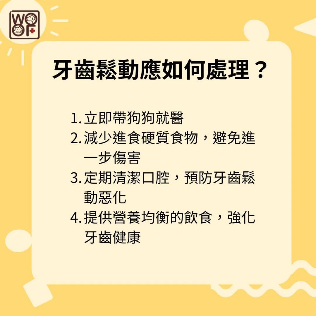 牙齒鬆動的狗狗應如何處理
