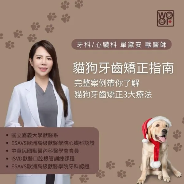 貓狗牙齒矯正指南，完整案例帶你了解貓狗牙齒矯正3大療法