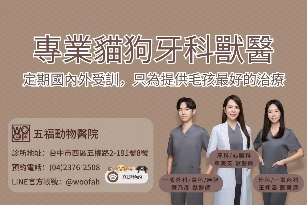 台中五福動物醫院專業犬貓牙科獸醫，定期國內外受訓，只為提供毛孩最好的治療
