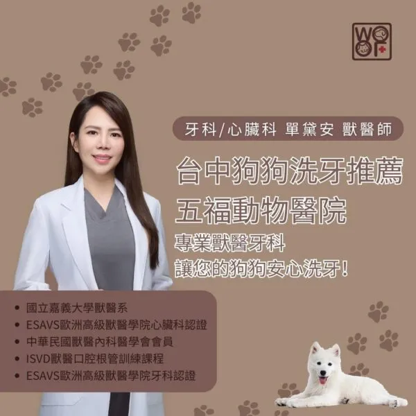 台中狗狗洗牙推薦五福動物醫院，專業獸醫牙科讓您的狗狗安心洗牙！